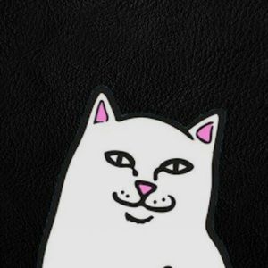 Meet your Posher, Moritz